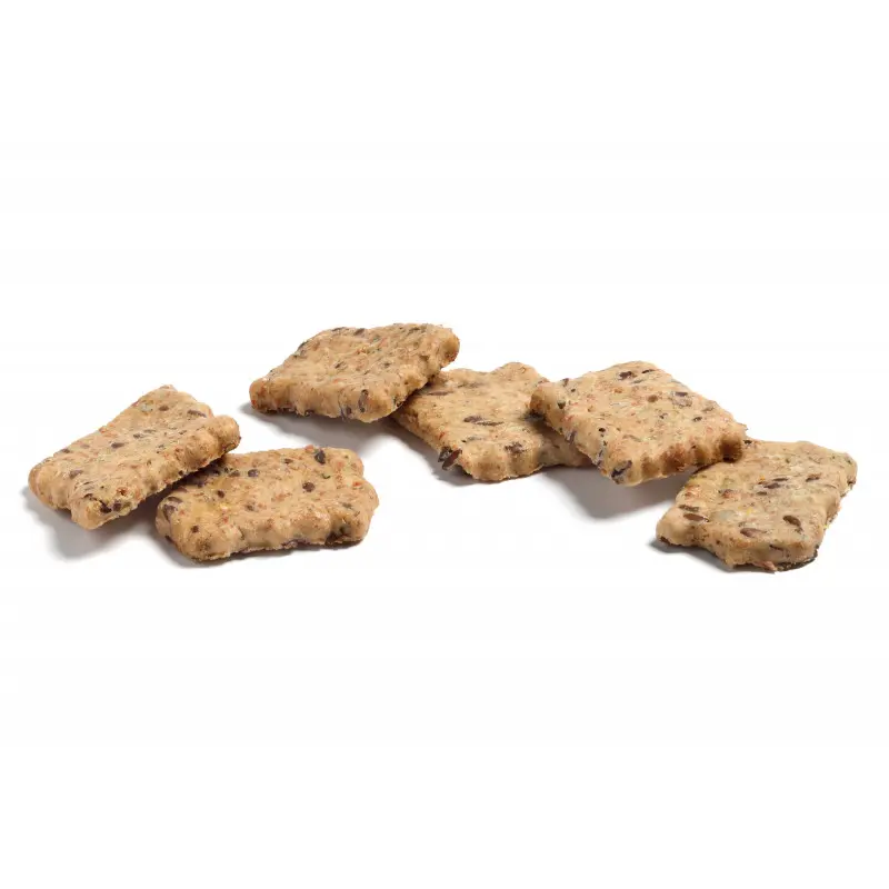 zuurdesem-crackers-oregano-zeezout.webp
