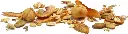 1200x326.webp