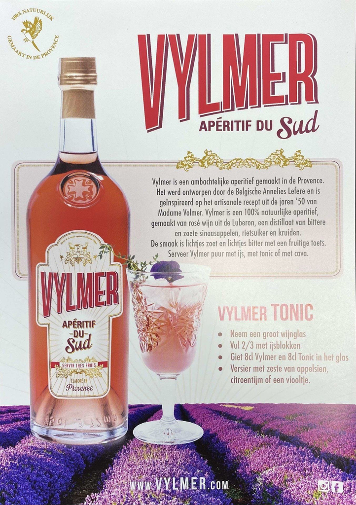 flyer-vylmer.webp