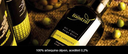 mestral_fbheader2.webp