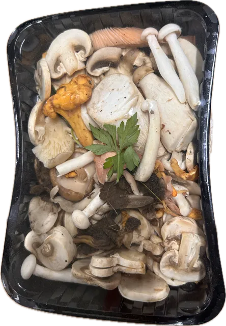 [12260] Bosmix doosje 180g