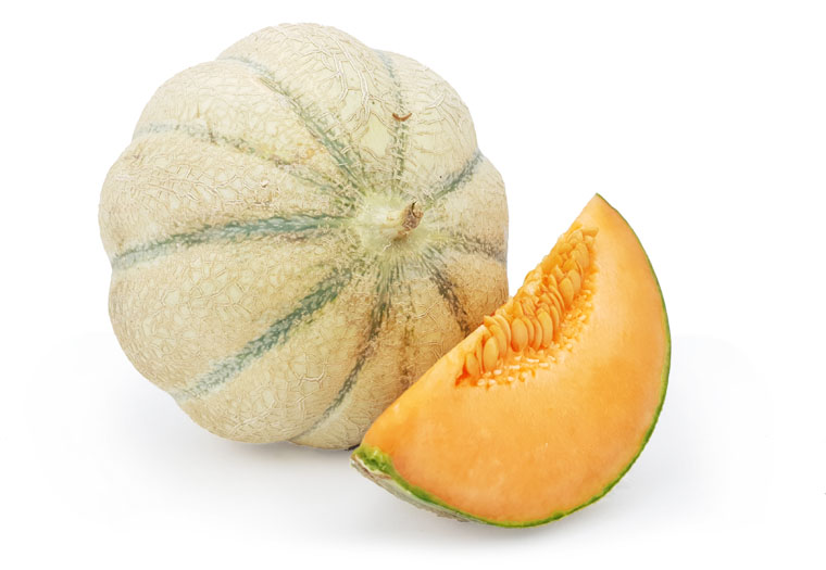 Charentais meloen Frans XL