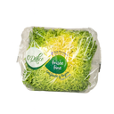 O'Delice Frisée Andijvie 