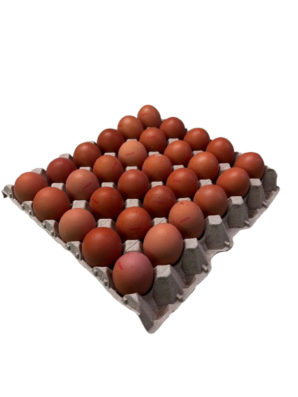 Eieren Rollie’s 30st (plateau)