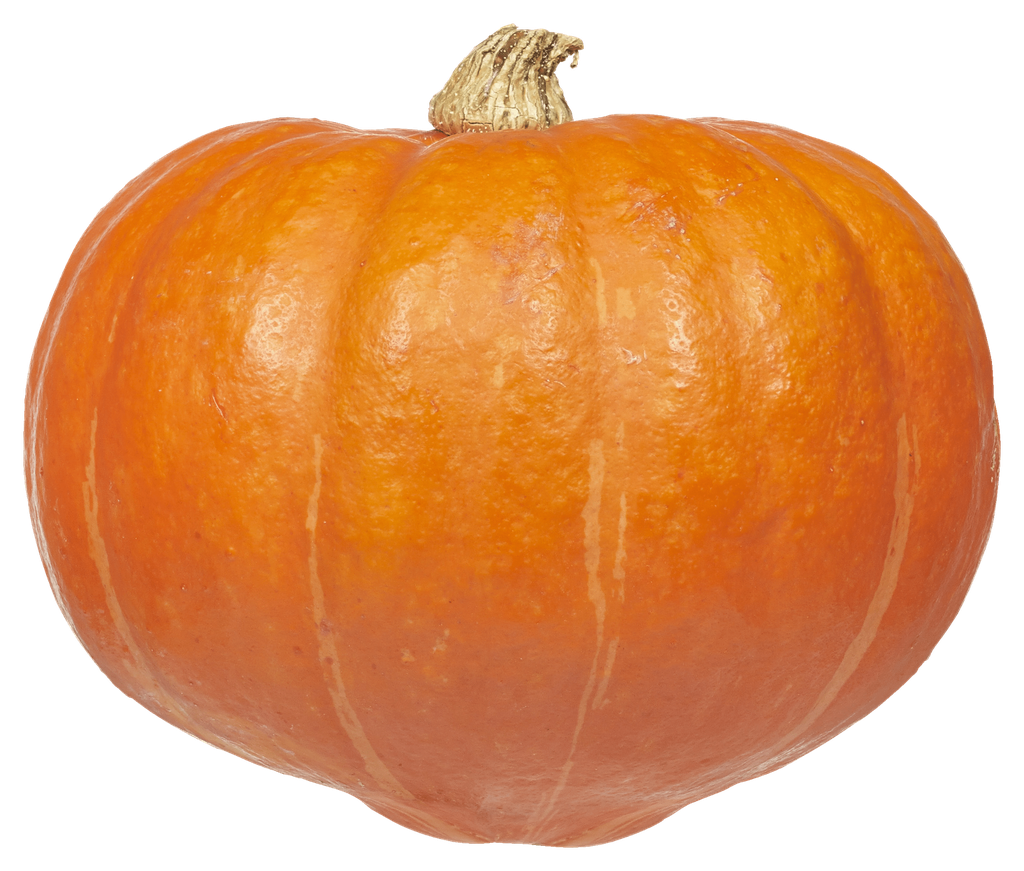 Pompoen 