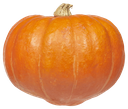 Pompoen 