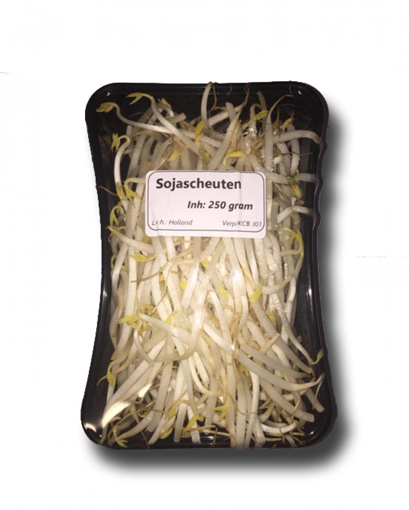 Sojascheuten 250gr 