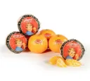 Clementines llusar