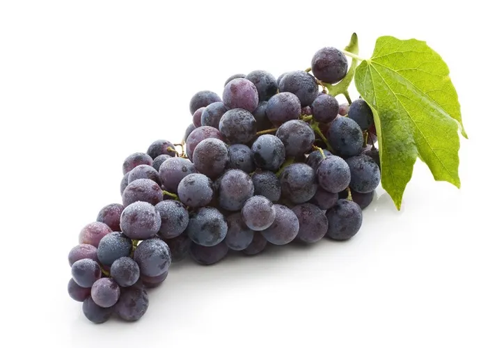 Druiven blauwe Muscat