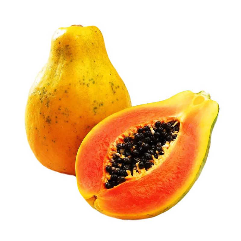 Papaja