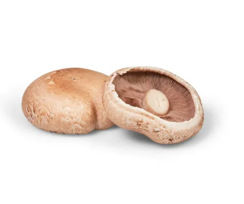 Portabello