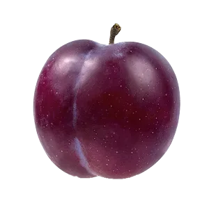 [48009] Pruimen president