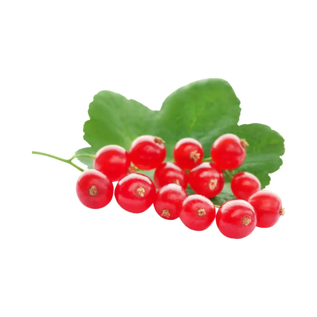 Jeneverbessen 500gr