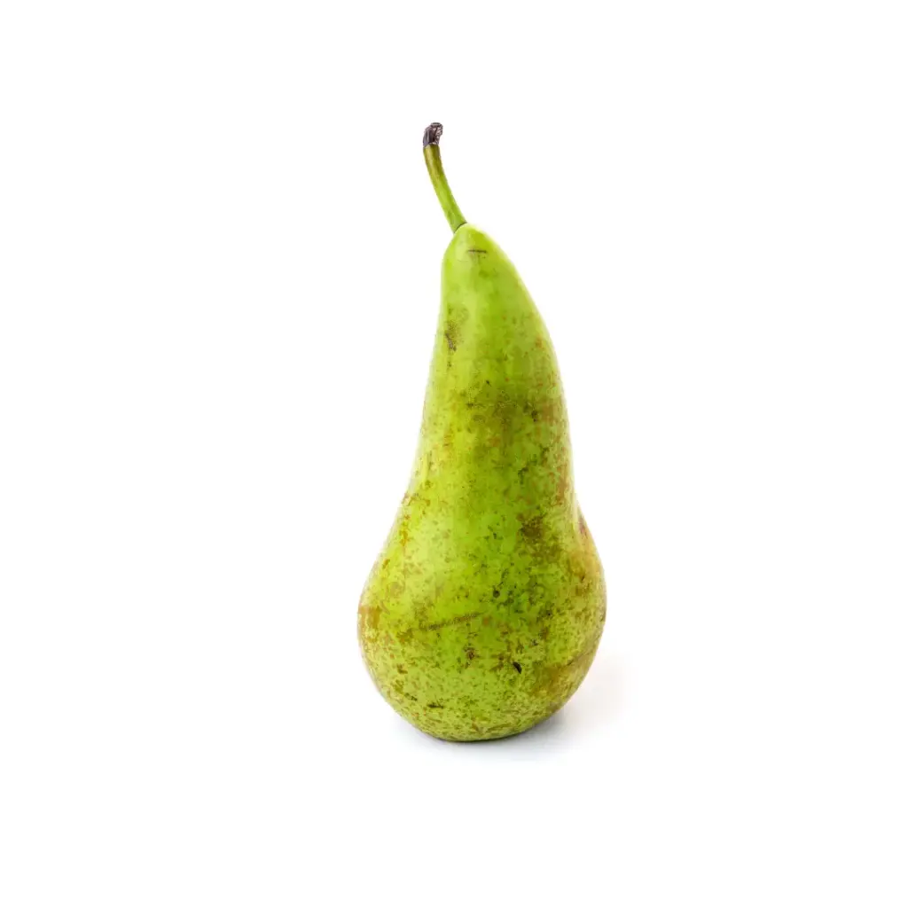 [55005] Peren conference