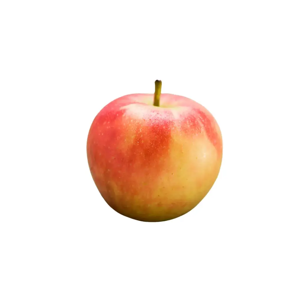 Appels elstar 