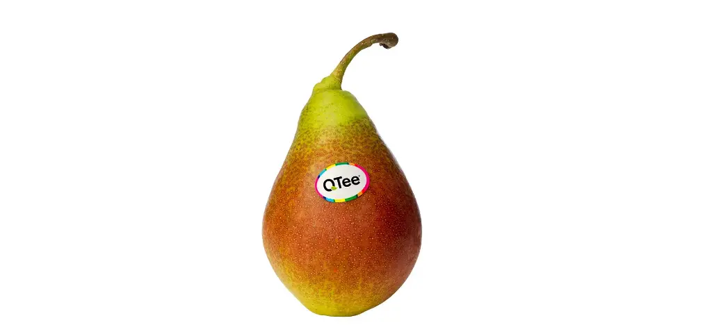 Qtee Peren