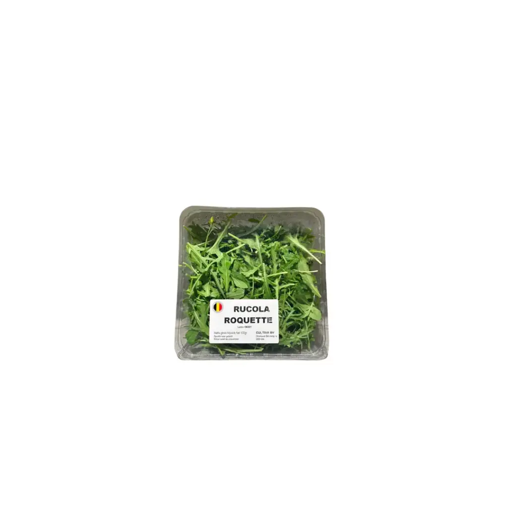 Rucola Roquette