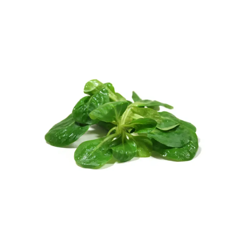 Veldsla 100g