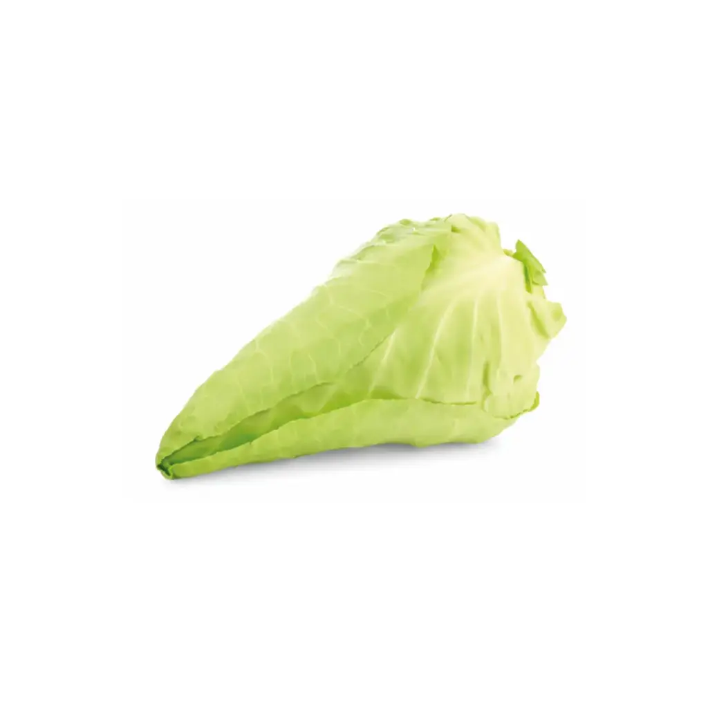 Spitskool