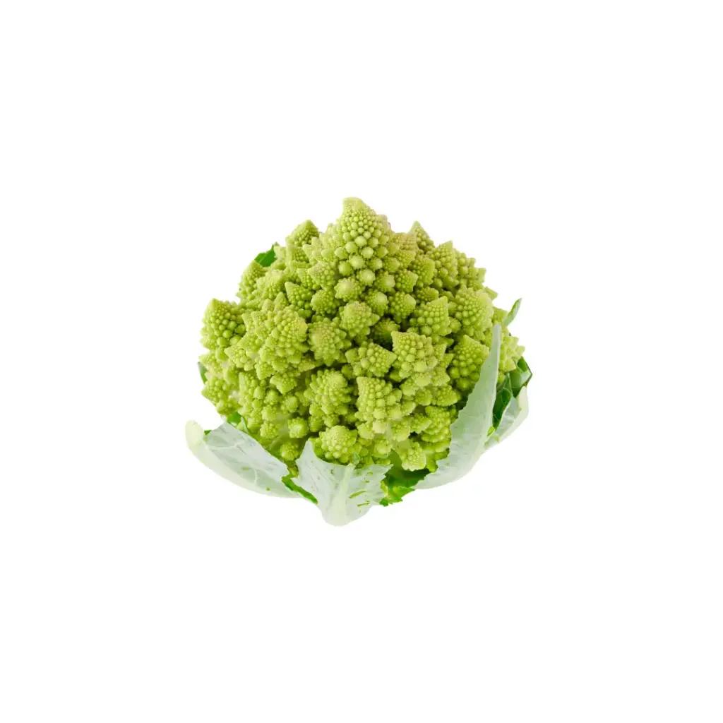 [97003] Romanesco