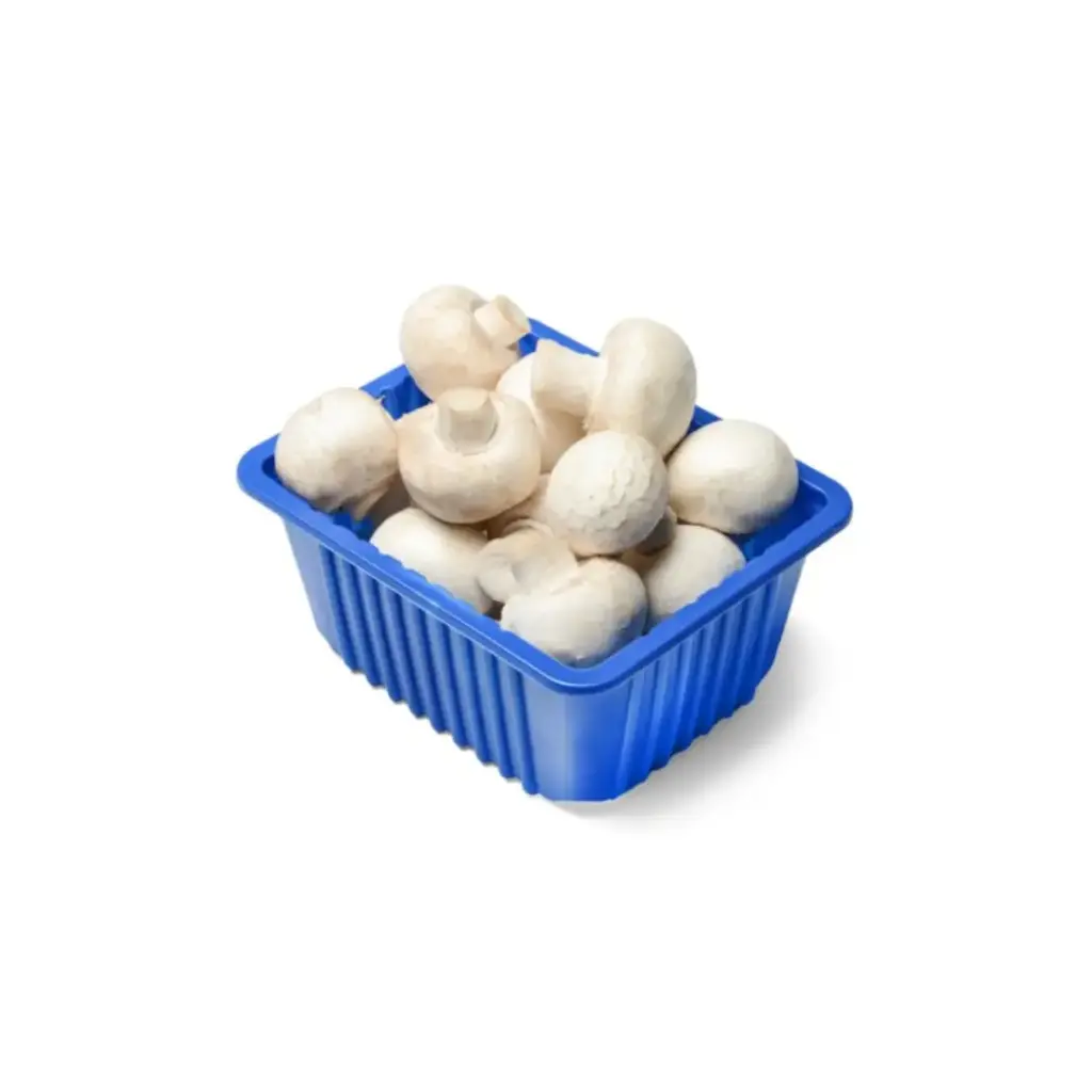 Witte Champignon (250 gr)