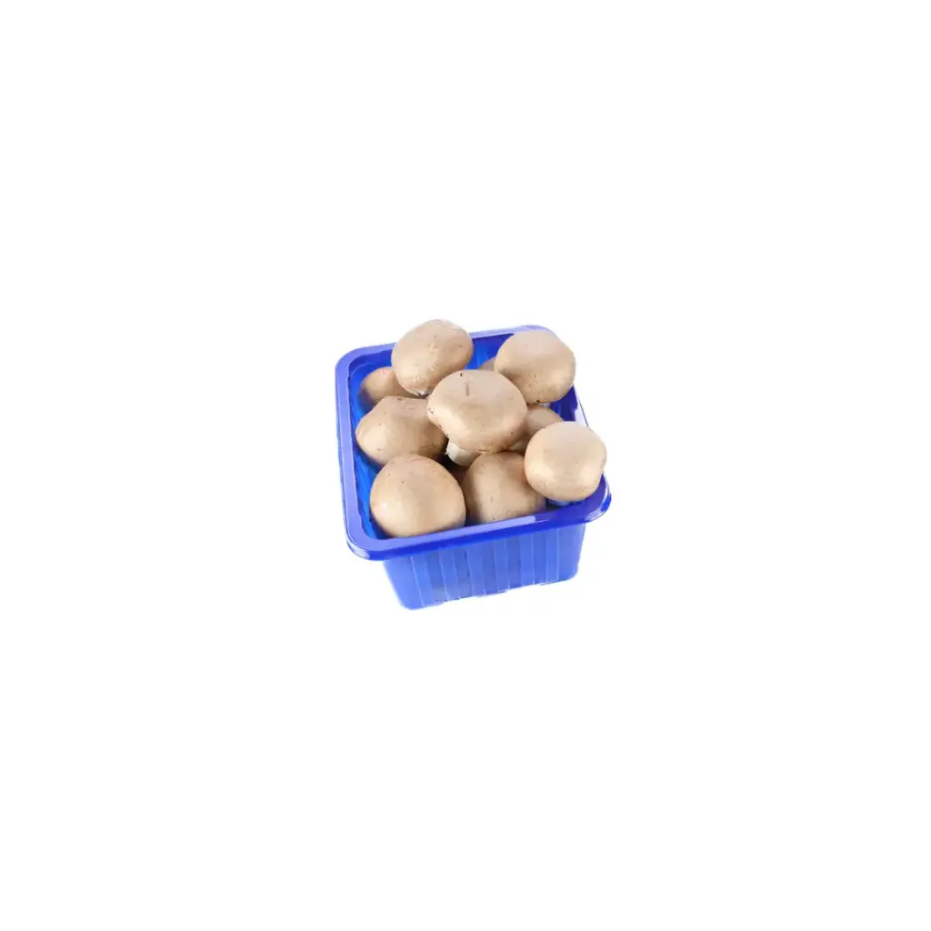 Kastanje Champignon (250 gr)