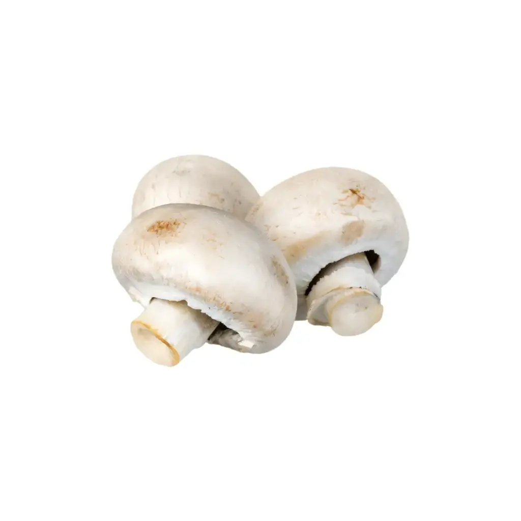 Champignon Wit (500 gr)