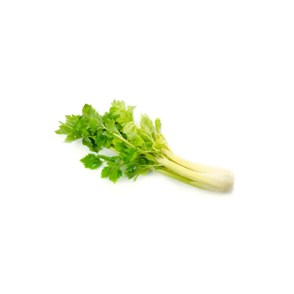 Groene Selder