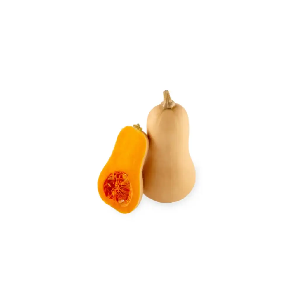 Butternut  (Groot)