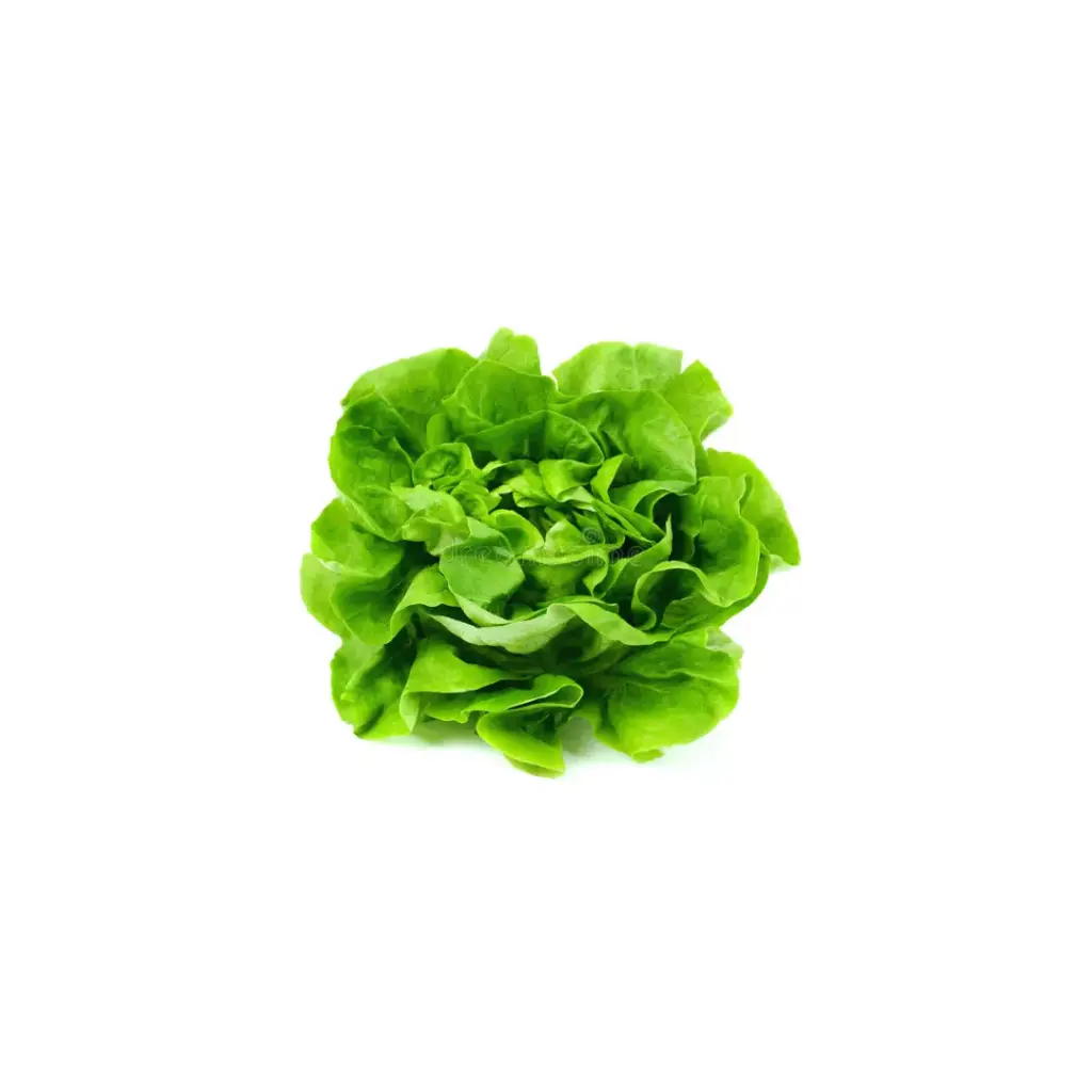 Kropsla