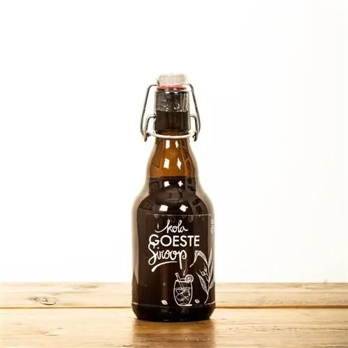 [25001] Goeste Kolasiroop (33 cl)