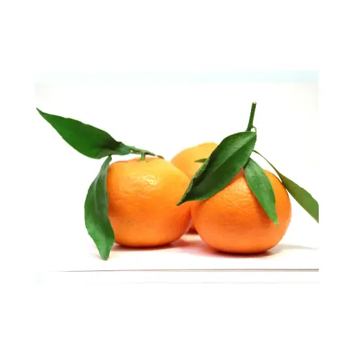 [60001] Clementines 