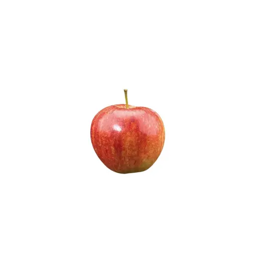 [55013] Appels jonagold