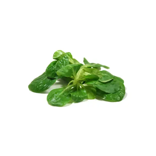 [94011] Veldsla 100g