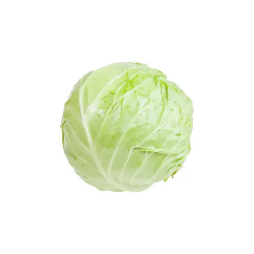 [12060] Witte Kool