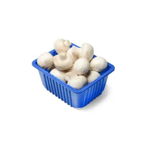 [12200] Witte Champignon (250 gr)