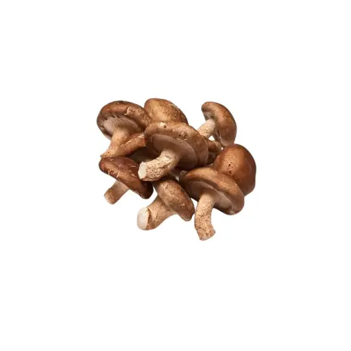 [98003] shiitake's