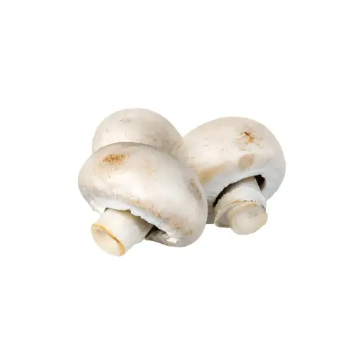 [98007] Champignon Wit (500 gr)