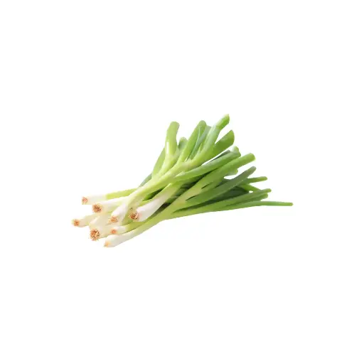 [95018] Pijpajuin