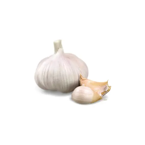 [95006] Knoflook