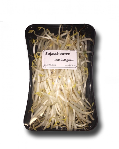 [12700] Sojascheuten 250gr 